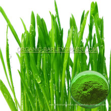 USDA Organic Cevada Grass Powder